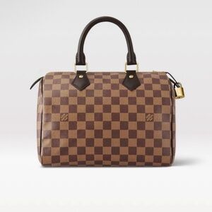 Louis Vuitton Speedy Damier 25